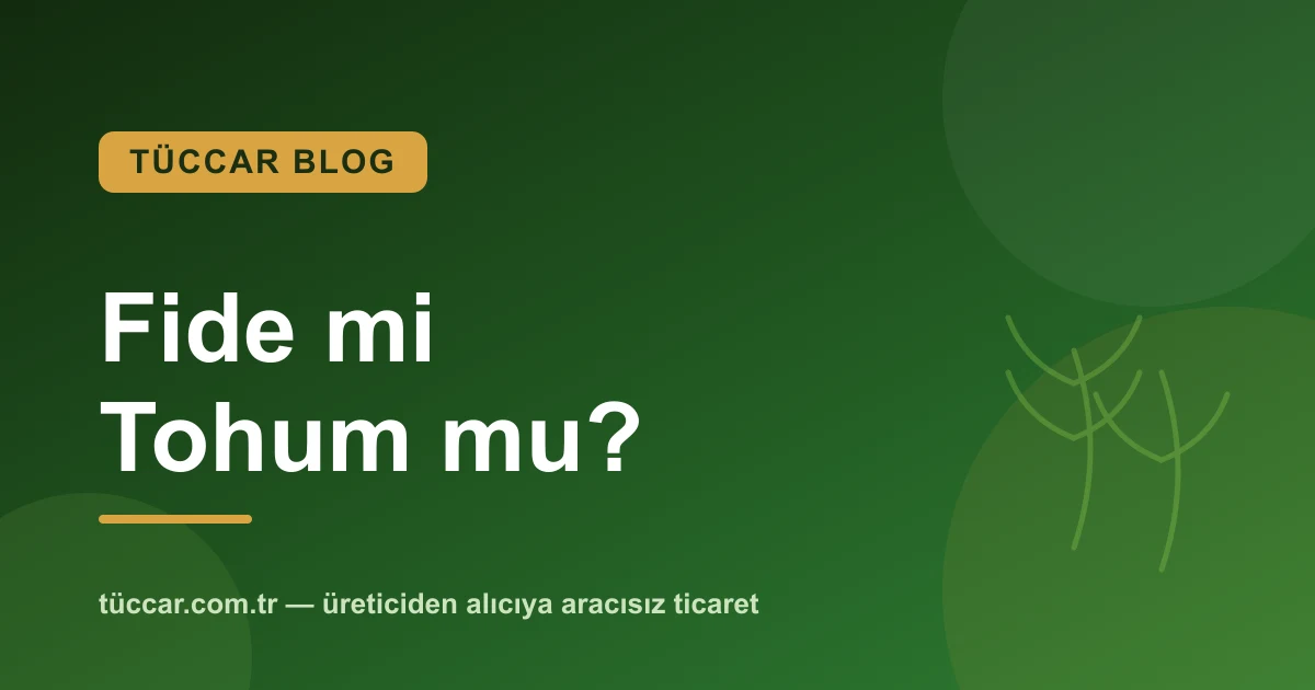 Fide mi Tohum mu? Sebze Üretiminde Doğru Başlangıç