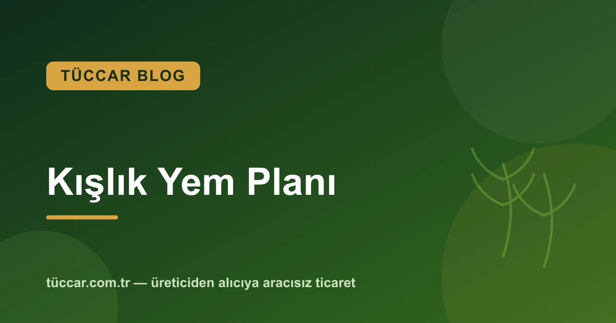 Saman, Yonca, Silaj: Kışlık Yem Stoku Nasıl Planlanır?