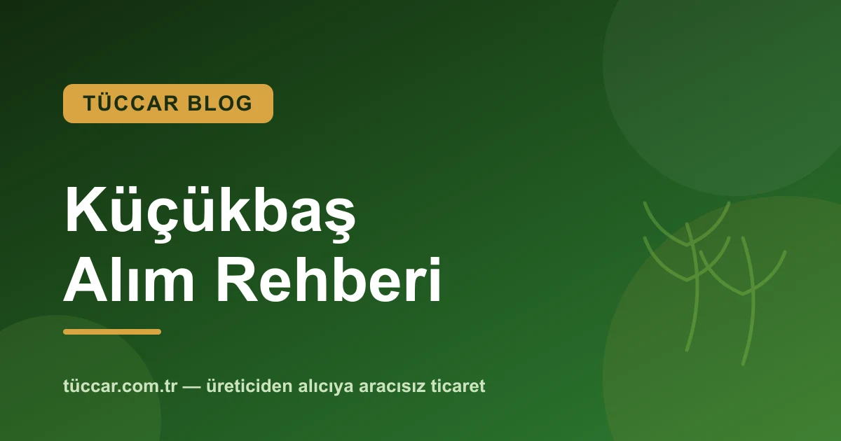 Küçükbaş Hayvan Alırken Nelere Dikkat Edilmeli? Koyun ve Keçi Rehberi