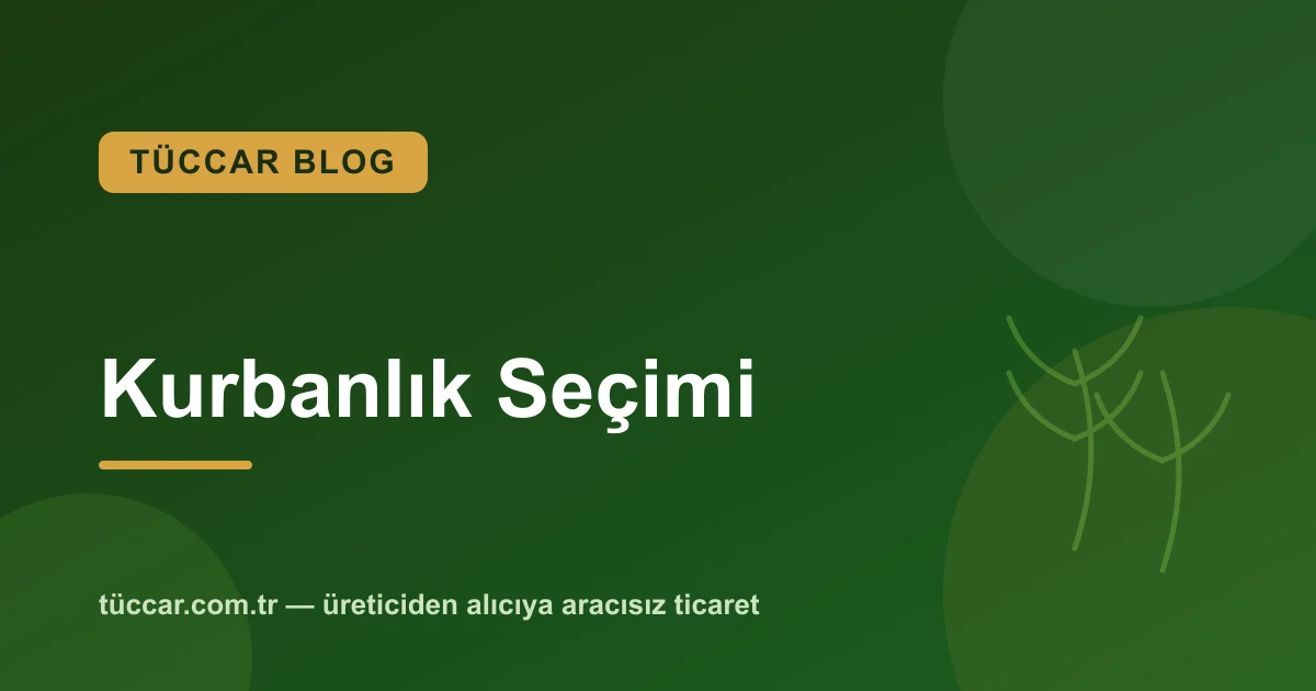Kurbanlık Nasıl Seçilir? Büyükbaş ve Küçükbaş Rehberi