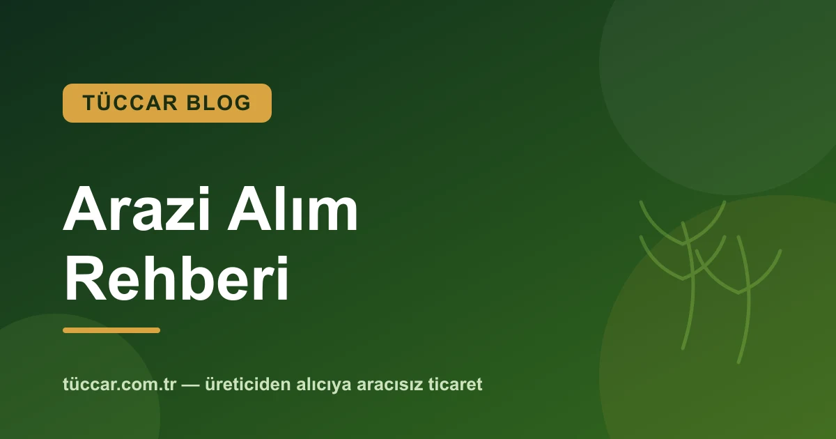 Tarla ve Arazi Alırken Nelere Dikkat Edilmeli?