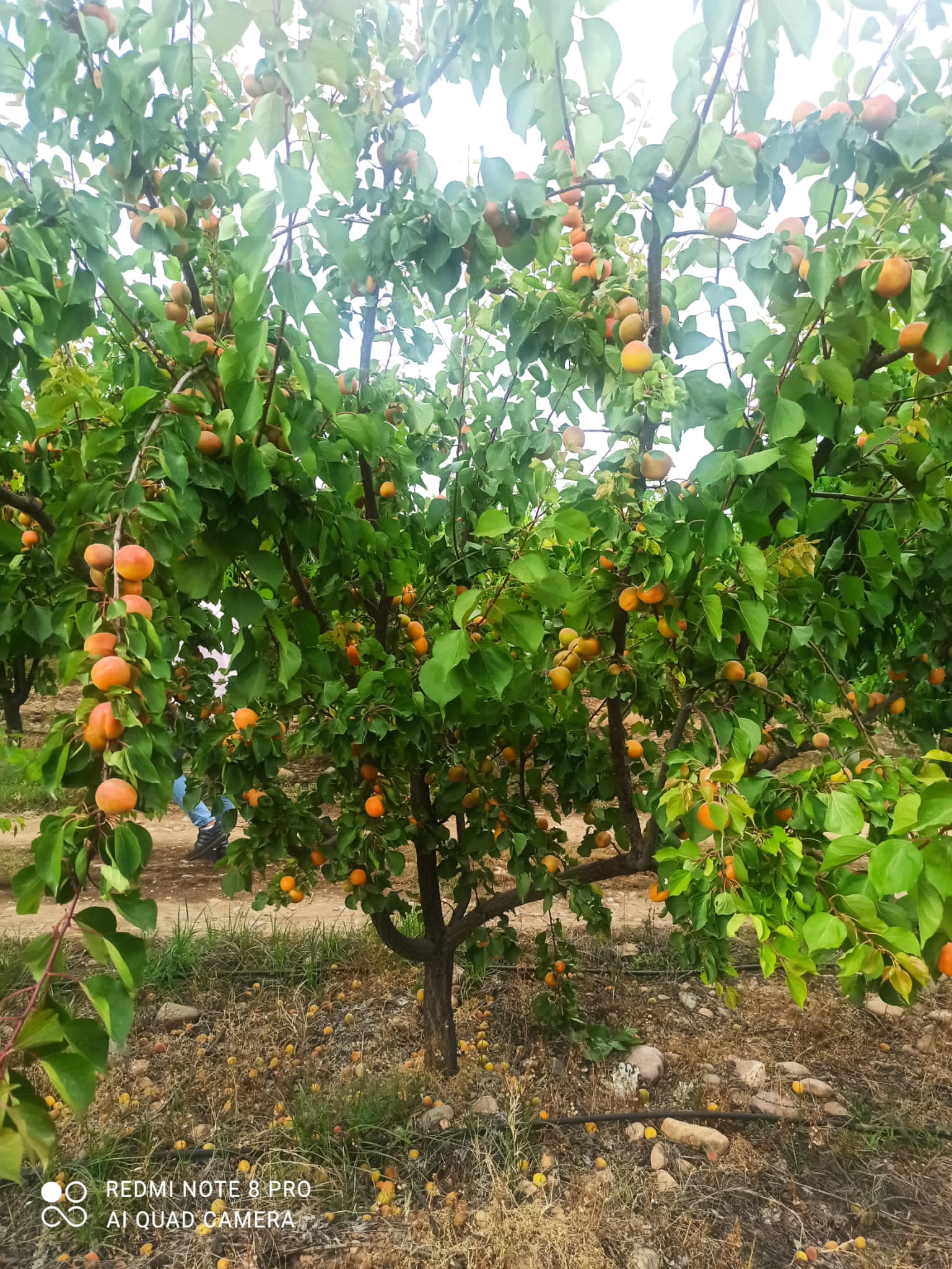 03783E44-3FD0-4A98-A873-90AF5B443842