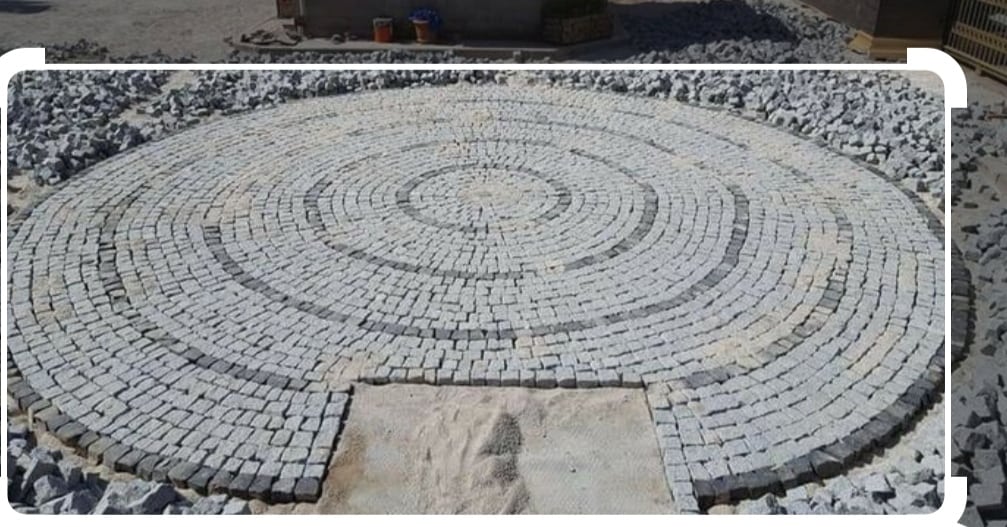 IMG_20240108_141956_254