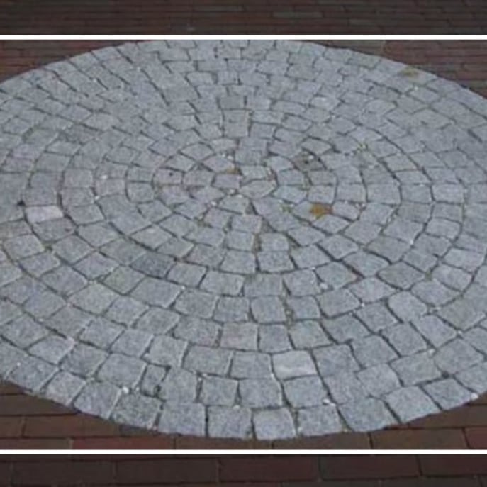 IMG_20240108_142023_496