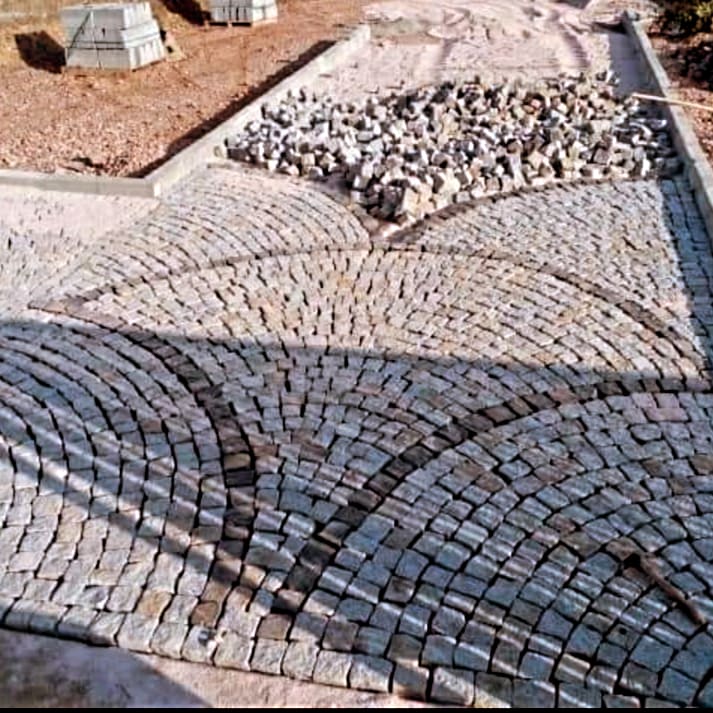 IMG_20240315_082520_014